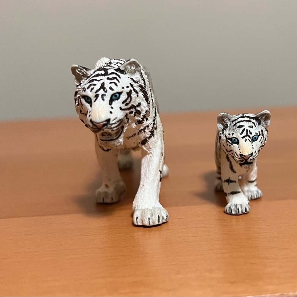 White tiger Adult and Cub